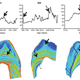 Barium distribution in teeth over time in an 8.4 year old Bornean orangutan (Image: Smith et al)